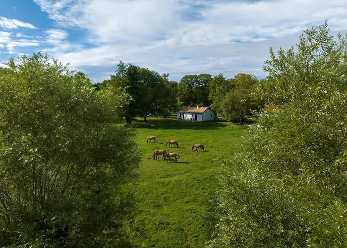 Hotel Et Cottages Domaine Du Marquenterre
