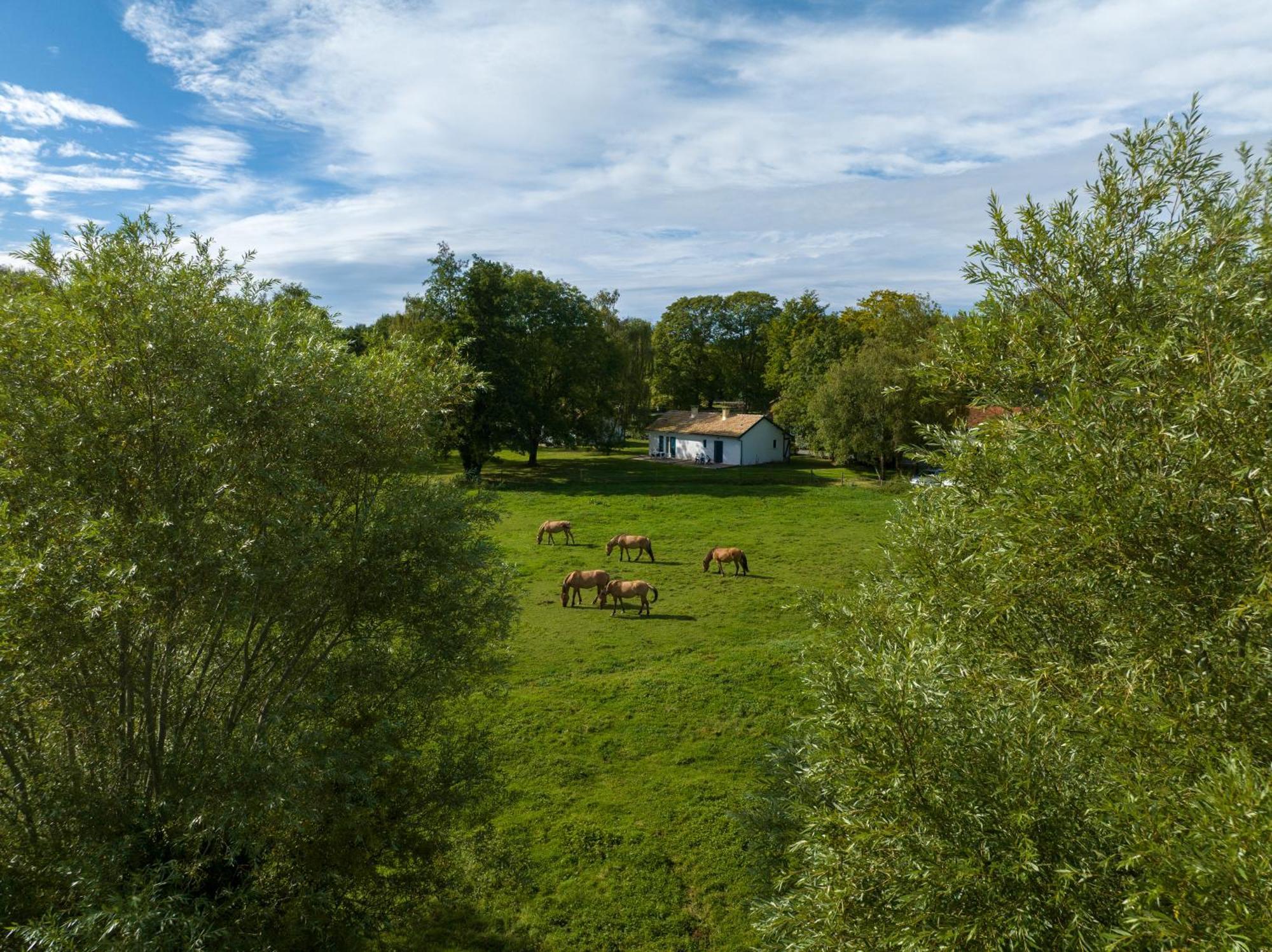 Et Domaine Du Marquenterre *